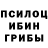 Псилоцибиновые грибы мицелий Suzie pes