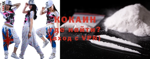 гашик Каменка