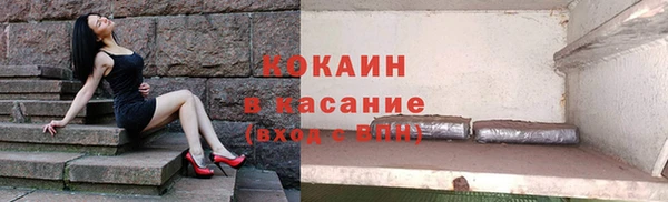 гашик Каменногорск