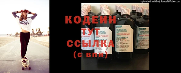 гашик Каменка