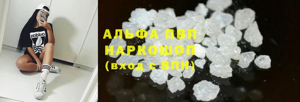 спайс Касимов