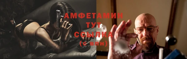 гашик Каменка