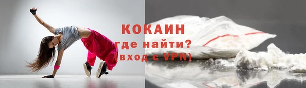 гашик Каменка