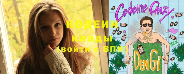 гашик Каменка