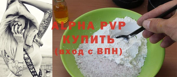 гашик Каменка