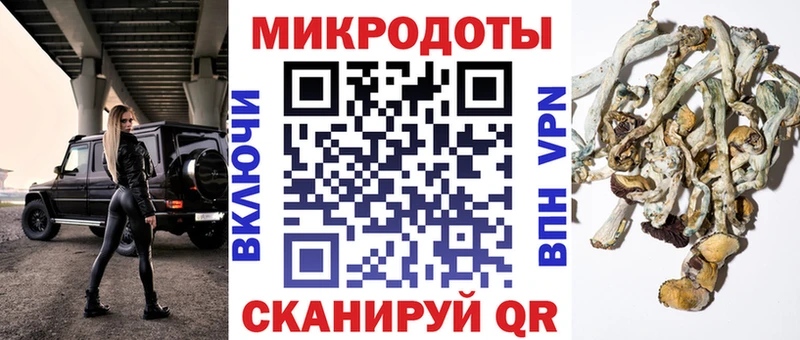 Псилоцибиновые грибы Magic Shrooms  Купить  Бирюч 